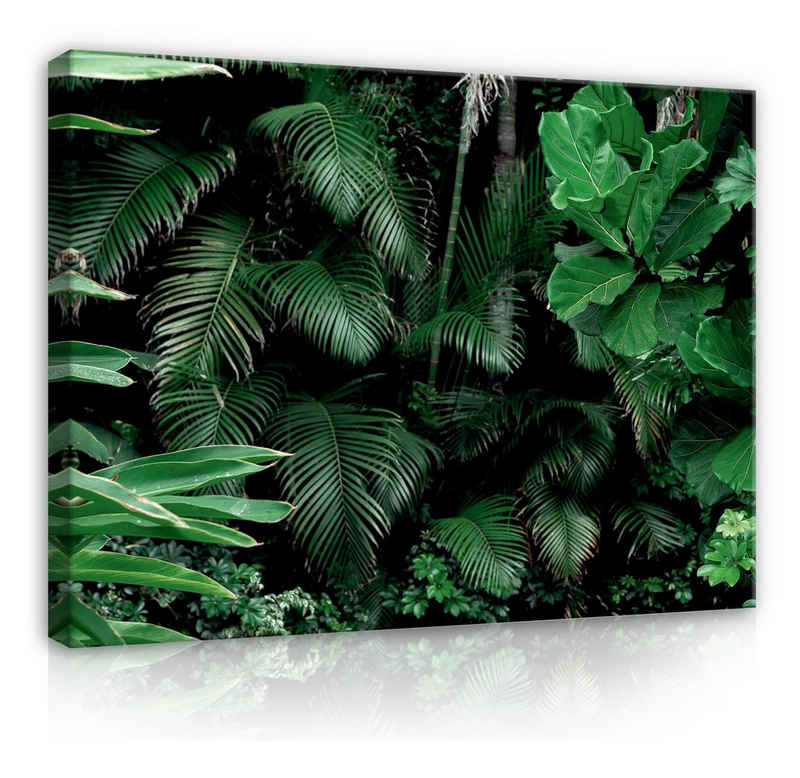 Wallarena Leinwandbild Dschungel Blätter Wald Tropisch Wandbild XXL Leinwandbilder Modern, Dschungel (Einteilig), Aufhängefertig