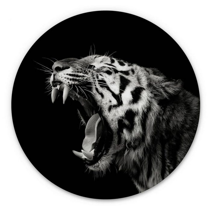 K&L Wall Art Gemälde Alu-Dibond Poster Rund Safari Tiger Waldtiere Wilde Katze Meermann Metalloptik Wandbild