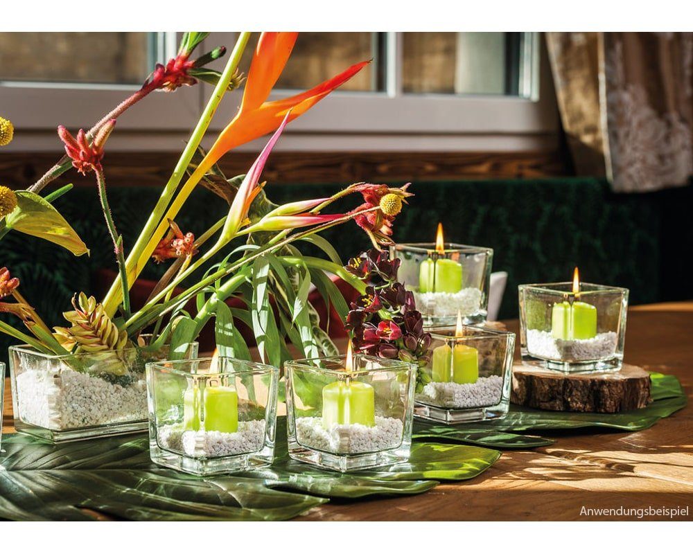 matches21 HOME & HOBBY Blumentopf Glastopf Quader Pflanztopf Würfel dickes Glas klar 10x10 cm (1 St)