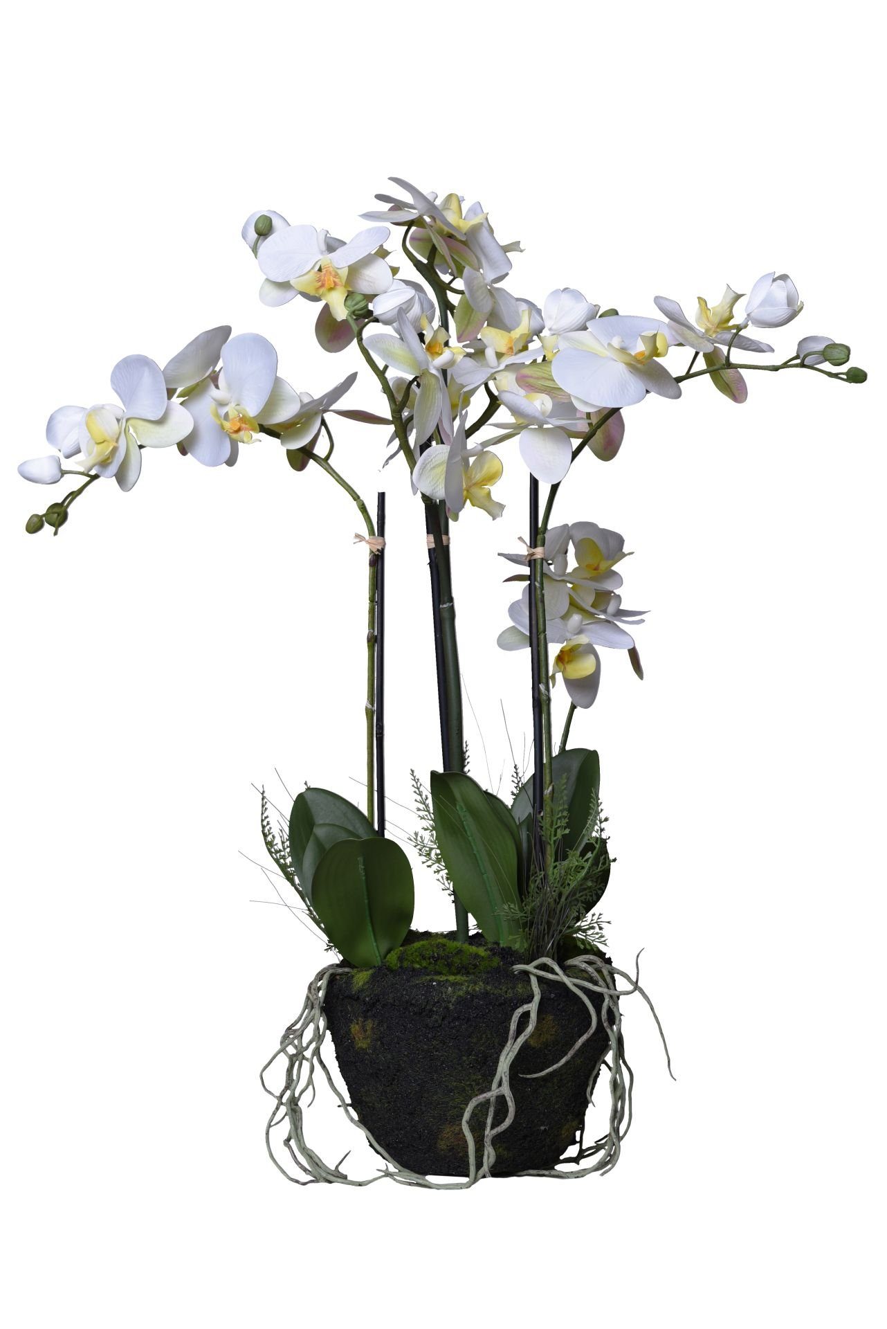 Kunstpflanze Kunstpflanze künstliche Orchidee im Erdballen Kunststoff ORCHIDELIS -, VIVANNO, Höhe 80 cm