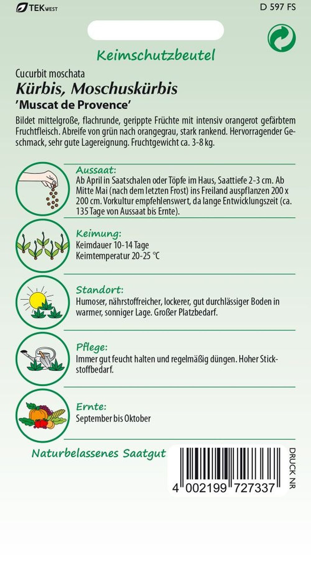 SAMEN PFANN Gemüsesamen Kürbis, Muscat de Provence Moschuskürbis Kürbis-Samen Saatgut Samen, Cucurbit moschata – Bild 2 von 2