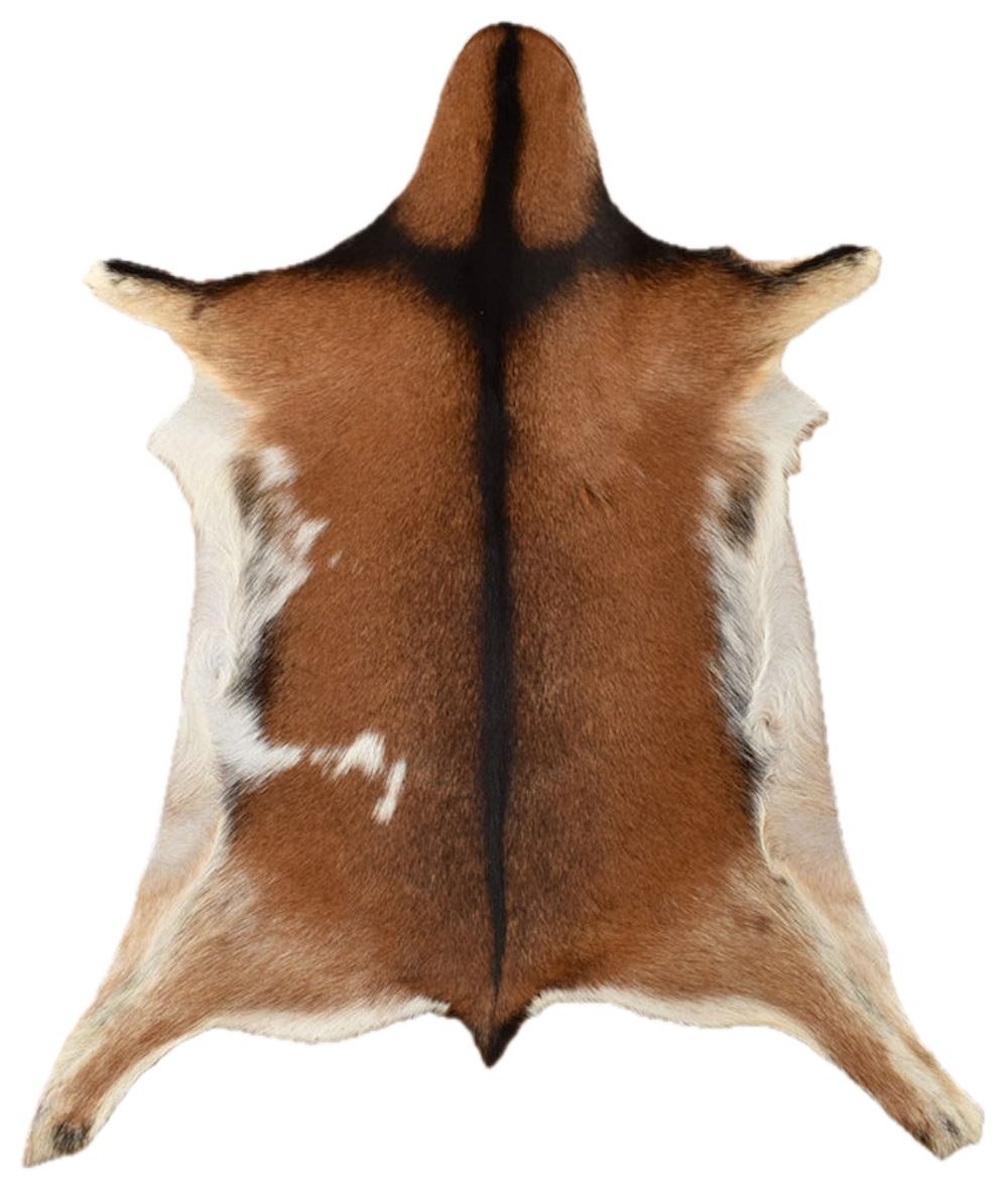 KUHFELL online & NOMAD Fellteppich ECHTES ZIEGENFELL BRAUN BEIGE DEKOFELL 8 günstig online kaufen