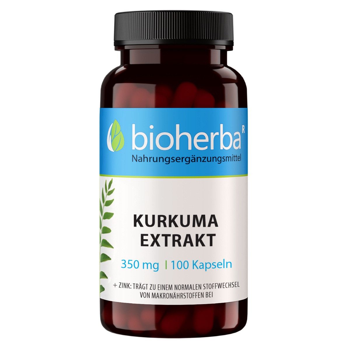 BIOHERBA R Bioherba Kurkuma Extrakt 350 mg 100 Kapseln Nahrungsergänzungsmittel, 1 er