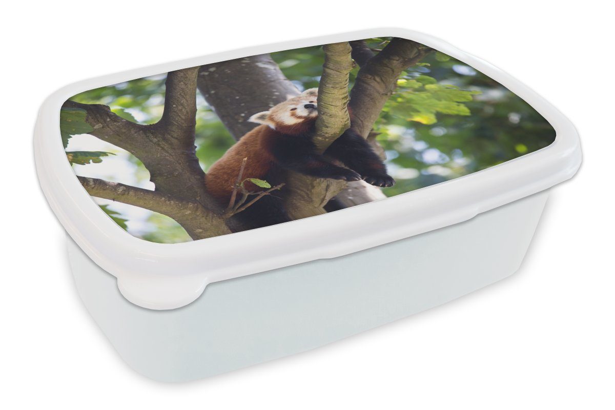 Lunchbox Roter Brotbox Erwachsene, auf Mädchen und Panda Brotdose, und Jungs für weiß Kunststoff, Kinder Baum, (2-tlg), dem für MuchoWow