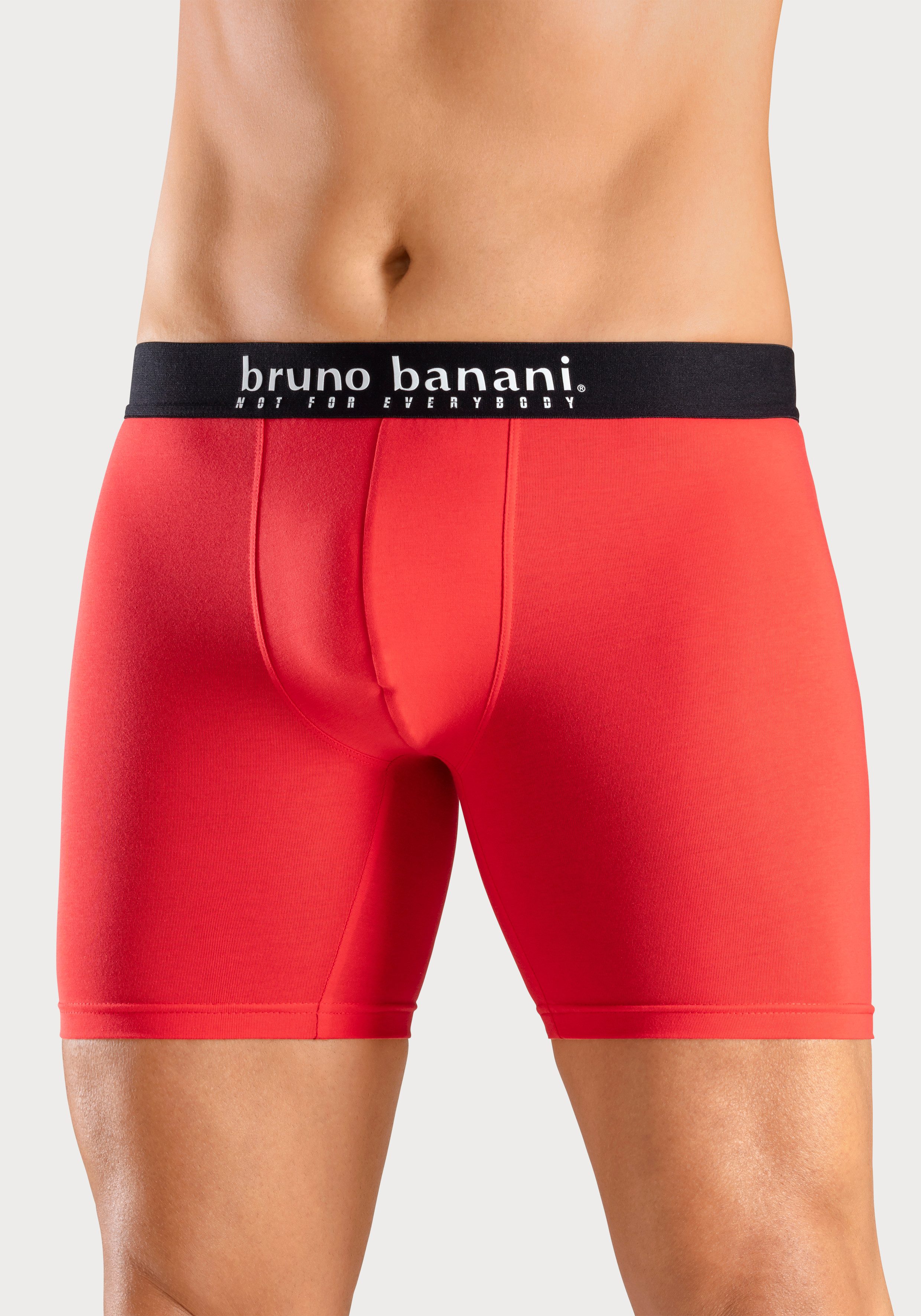 Bruno Banani Langer Boxer (Packung, 4-St., 4er-Pack) Langes Bein, Palmendruck und unifarben aus Baumwollmischung