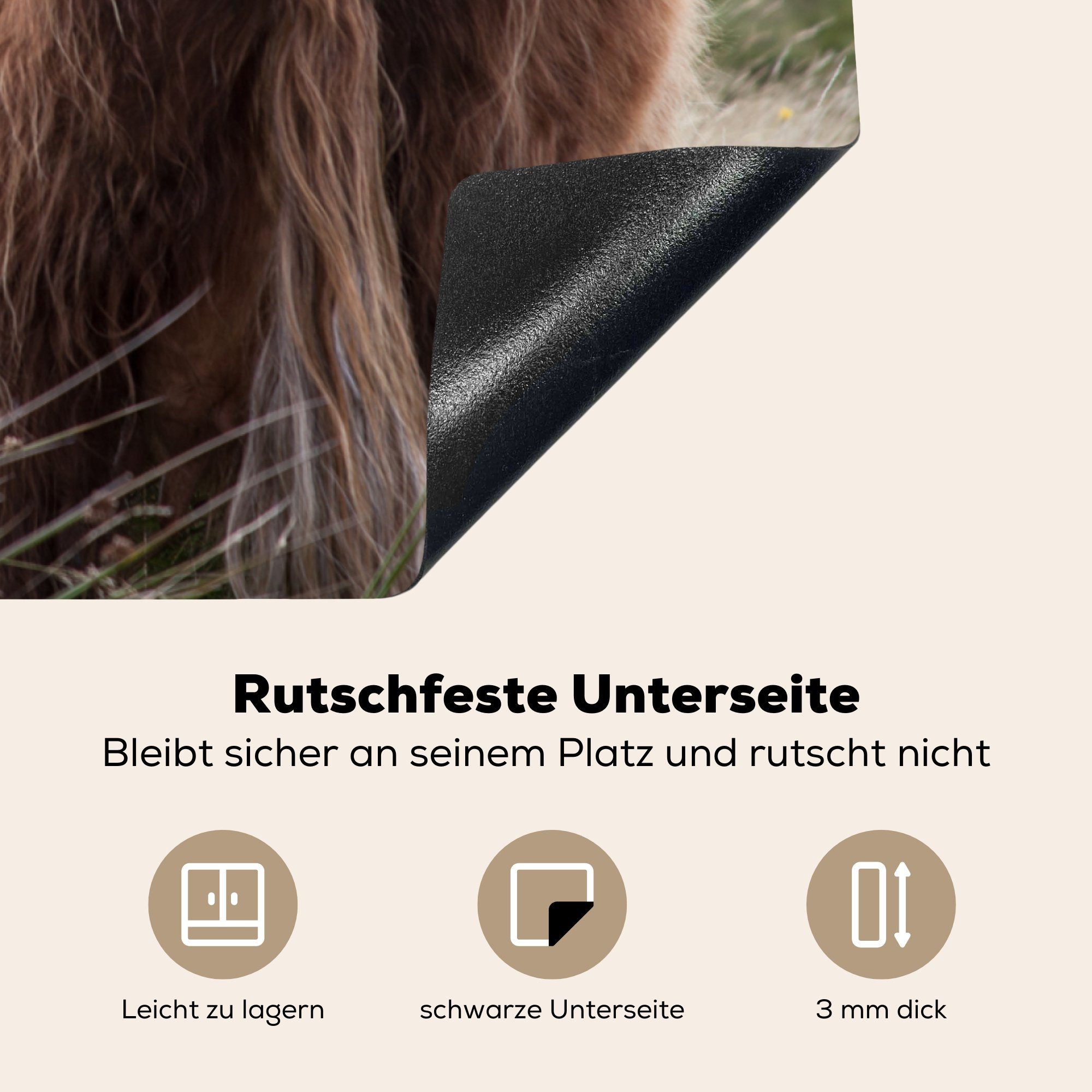 77x59 Natur - MuchoWow küche Herdblende-/Abdeckplatte - für tlg), cm, Highlander Arbeitsplatte Ceranfeldabdeckung, Vinyl, Meer, Schottische (1