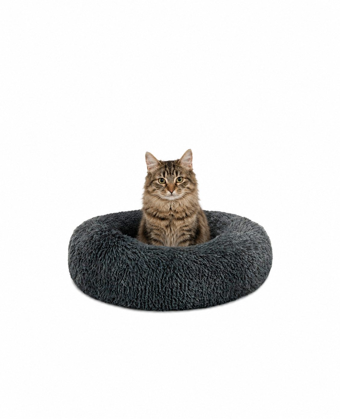 lionto Tierkissen für Katzen, Donutbett mit Plüschbezug, Katzenkissen Ø40 cm, dunkelgrau, Plüschbezug, rundes Bett mit Anti-Rutsch-Boden, erhöhter Rand für Geborgenheit