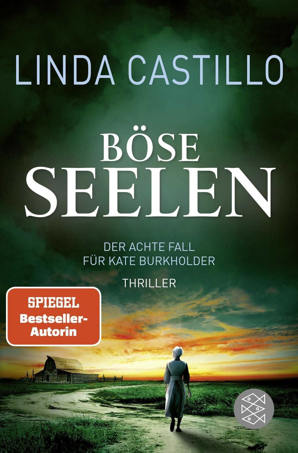 Böse Seelen / Kate Burkholder Band 8 / Linda Castillo, Thriller, Spannender Thriller bei den Amischen