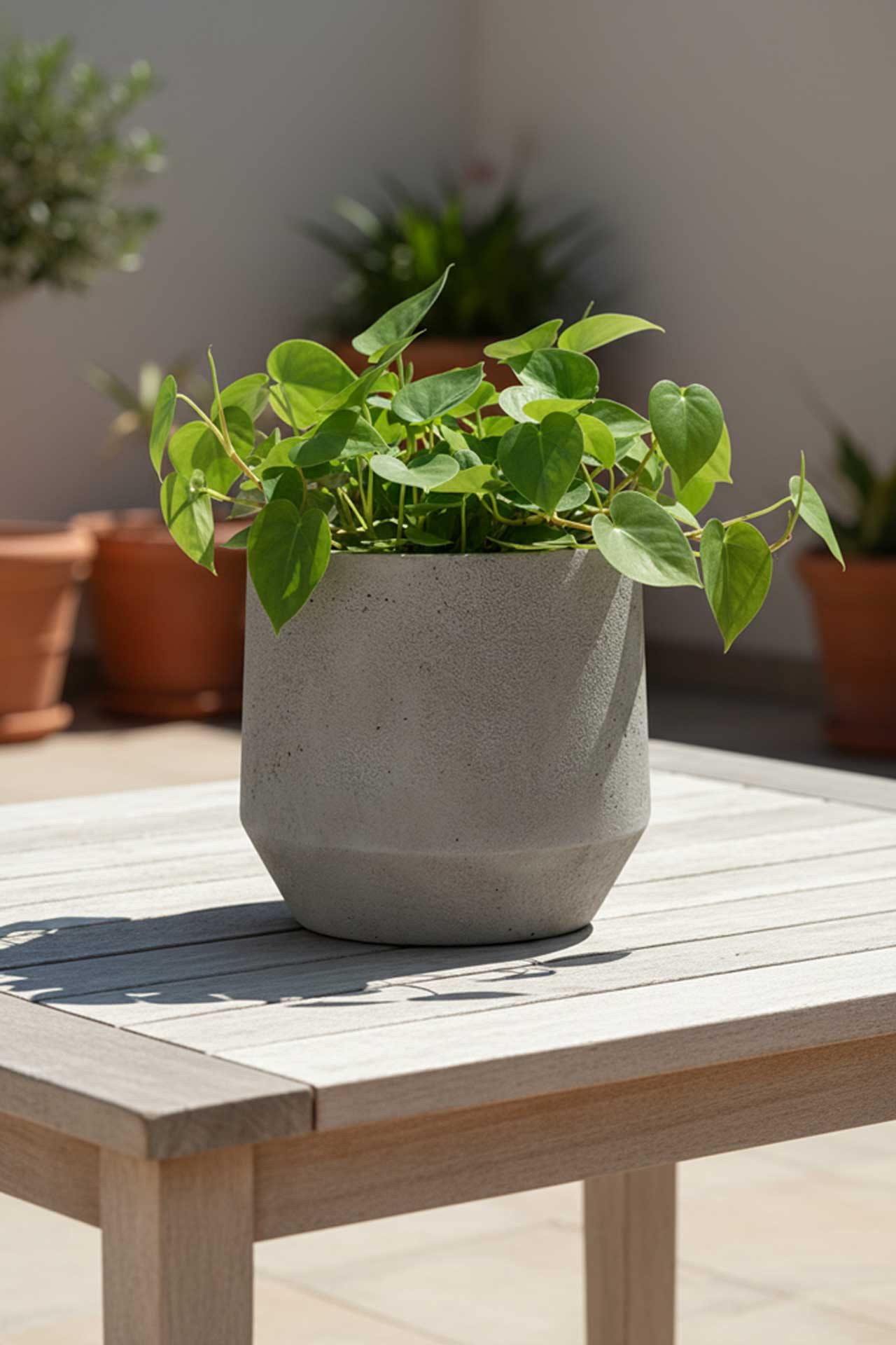 VIVANNO Blumentopf Fiberglas NEXORA Rund - Vesuvgrau Beton-Design (1 St), 31x28 cm