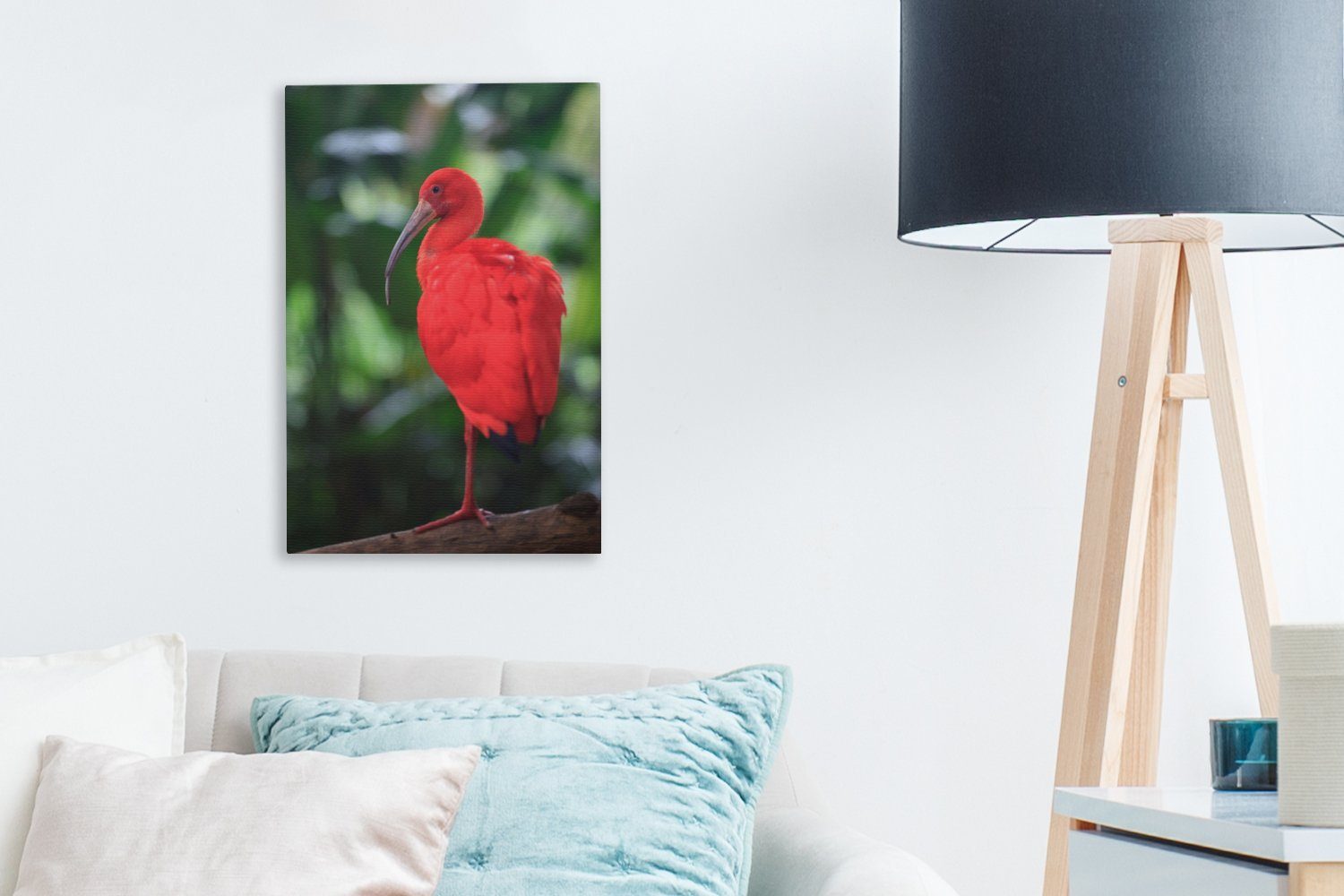 fertig (1 Ibis bespannt 20x30 Tierporträt Gemälde, einem Leinwandbild OneMillionCanvasses® auf cm Baumzweig, inkl. Zackenaufhänger, Leinwandbild St), eines roten