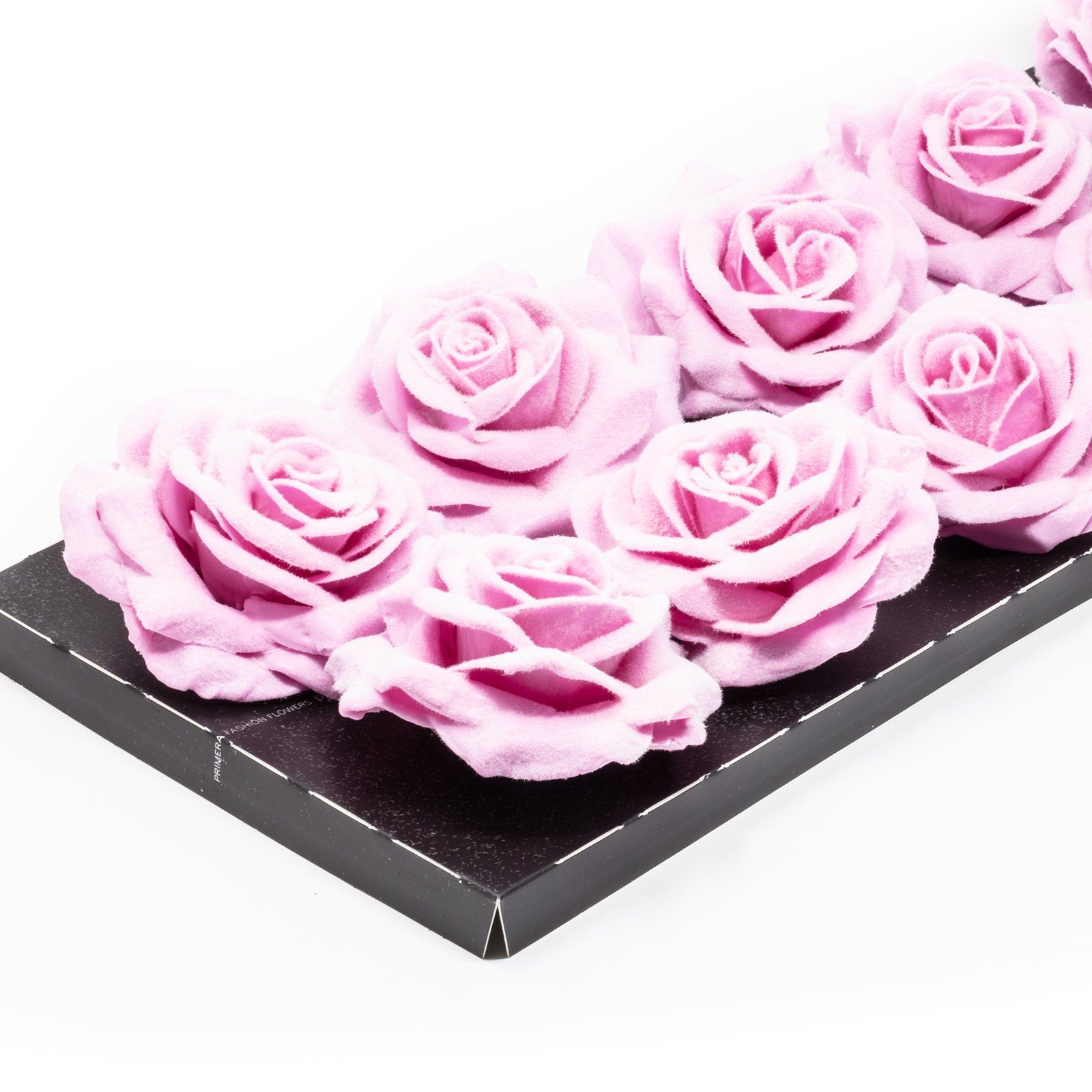 - Wachsrose Höhe Trockenblume 10er-Set Primera, Chrystal, 20 cm Pink