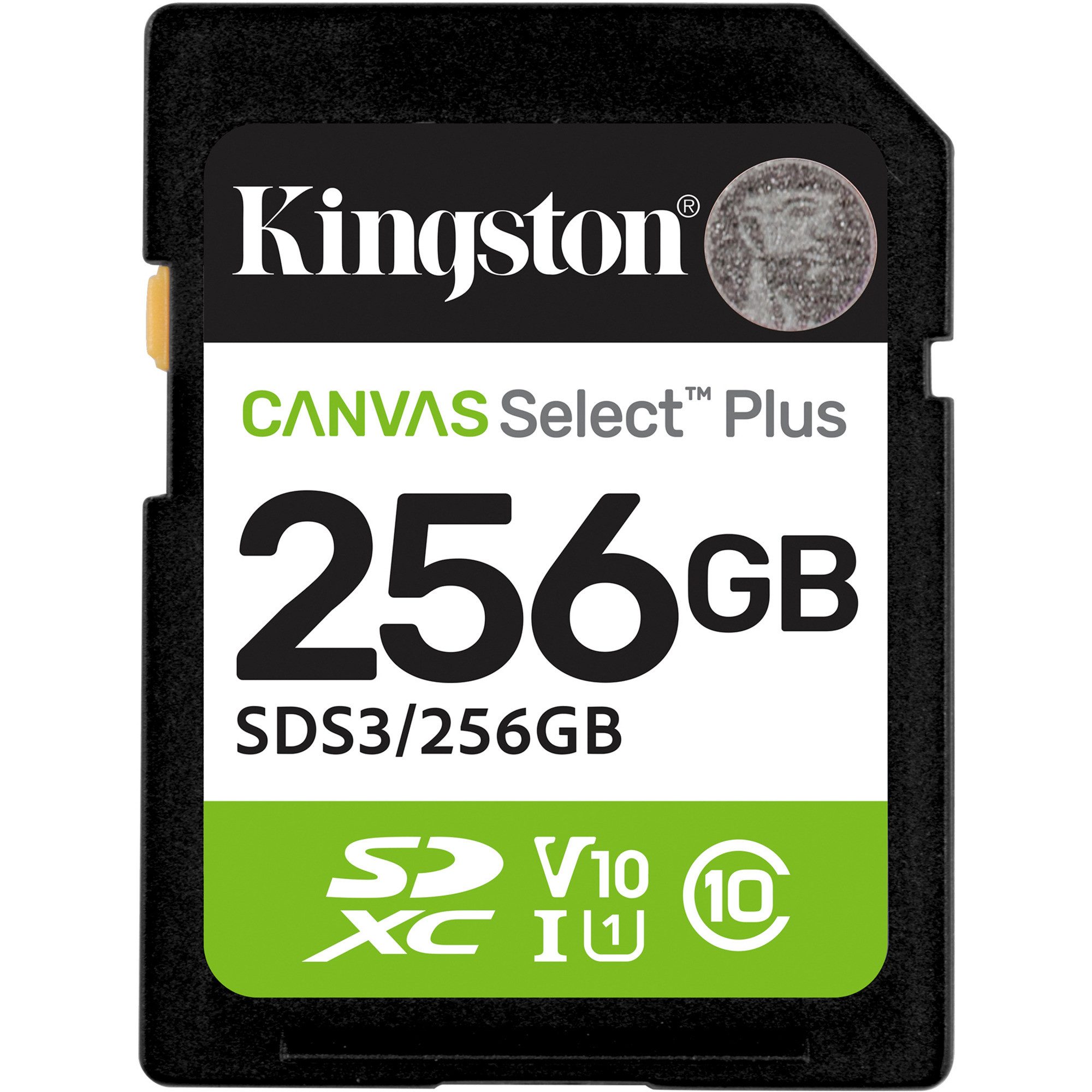 Kingston Kingston Canvas Select Plus 256 GB SDXC, externer Speicher (256 GB GB)