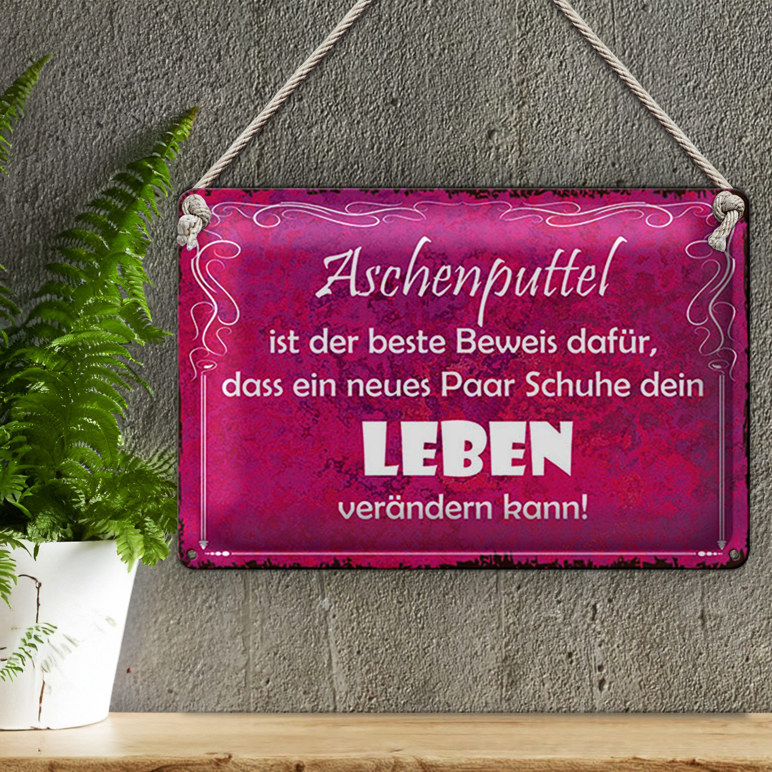 Roomando Metallschild Blechschild Spruch 30x20cm Aschenputtel Schuhe ändern Leben