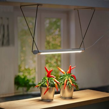 Northpoint Pflanzenlampe LED Pflanzenlampe mit Metall-Gestell Pflanzenleuchte 14W 16h Timer