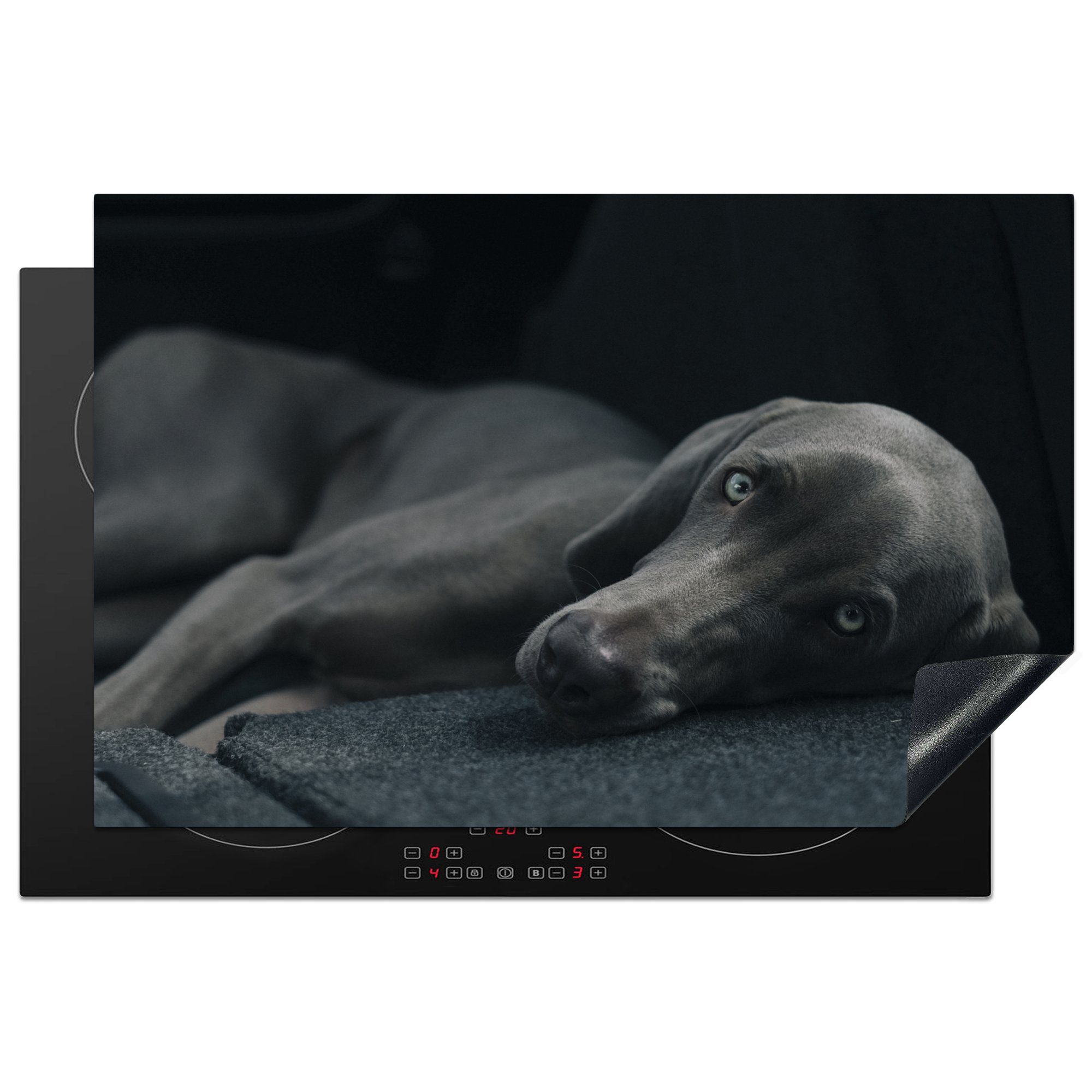 MuchoWow Herdblende-/Abdeckplatte Hund - Augen - Schwarz, Vinyl, (1 tlg), 81x52 cm, Induktionskochfeld Schutz für die küche, Ceranfeldabdeckung