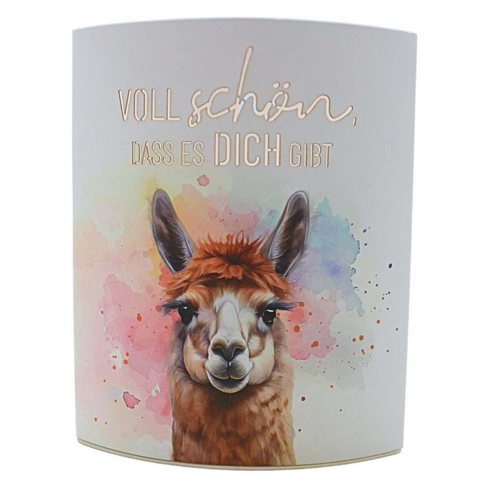 Dekohelden24 Stehlampe Dekolichter in verschiedenen Varianten, cm.