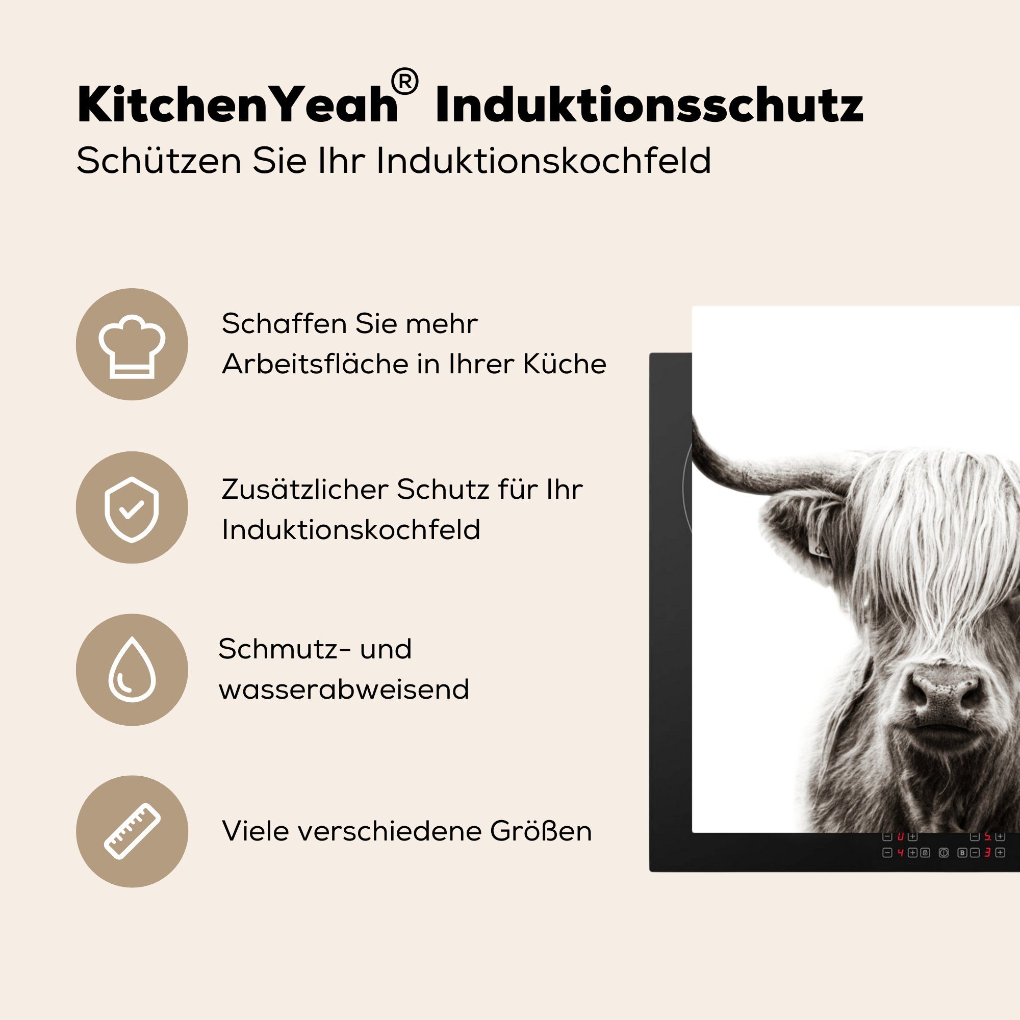 MuchoWow Herdblende-/Abdeckplatte Schottischer Highlander Ceranfeldabdeckung, (1 tlg), Vinyl, 78x78 - - küche Weiß cm, Kuh, für Arbeitsplatte