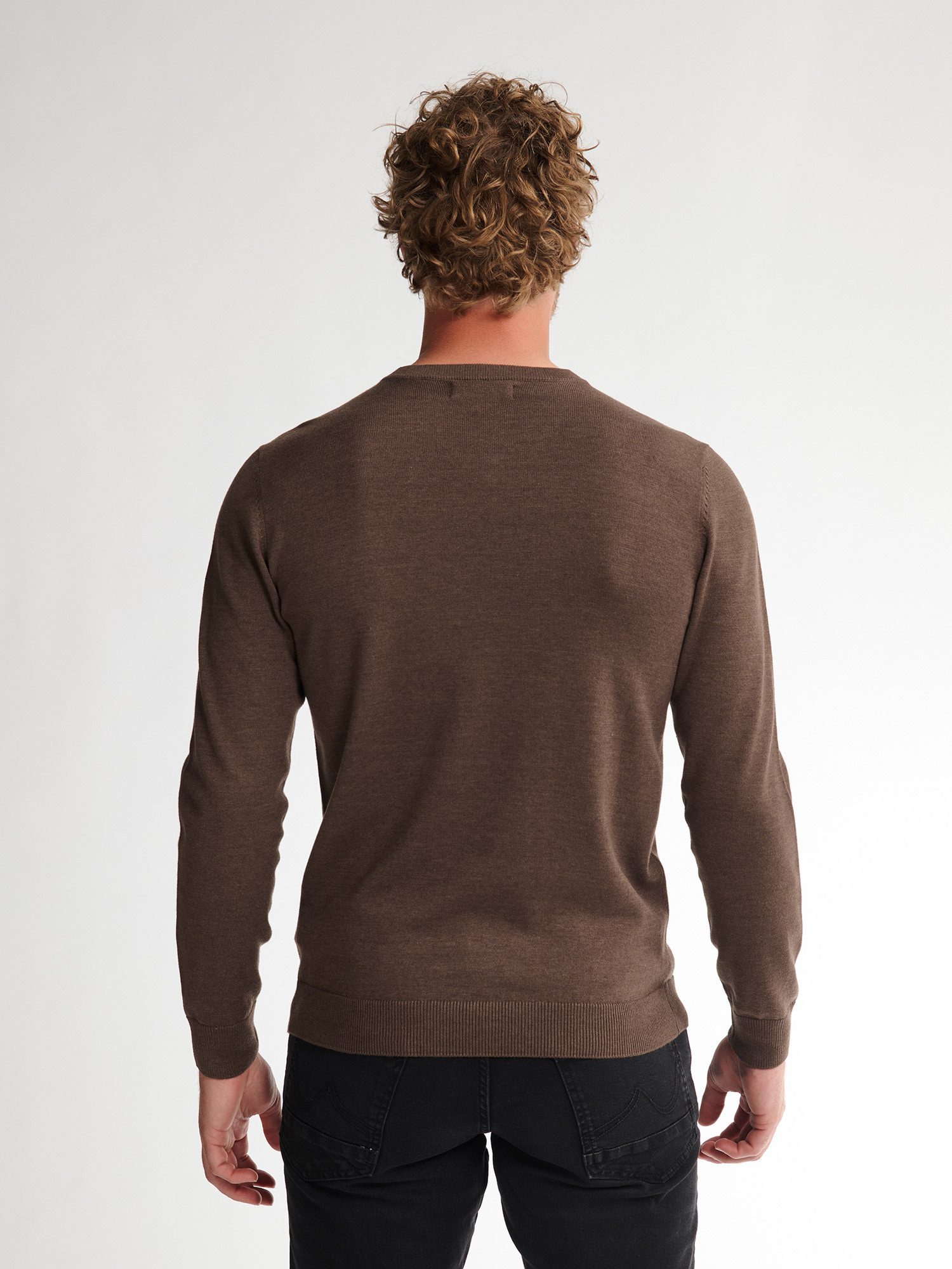 Petrol Industries V-Ausschnitt-Pullover "V-Neck Basi", Materialmix mit Baum günstig online kaufen