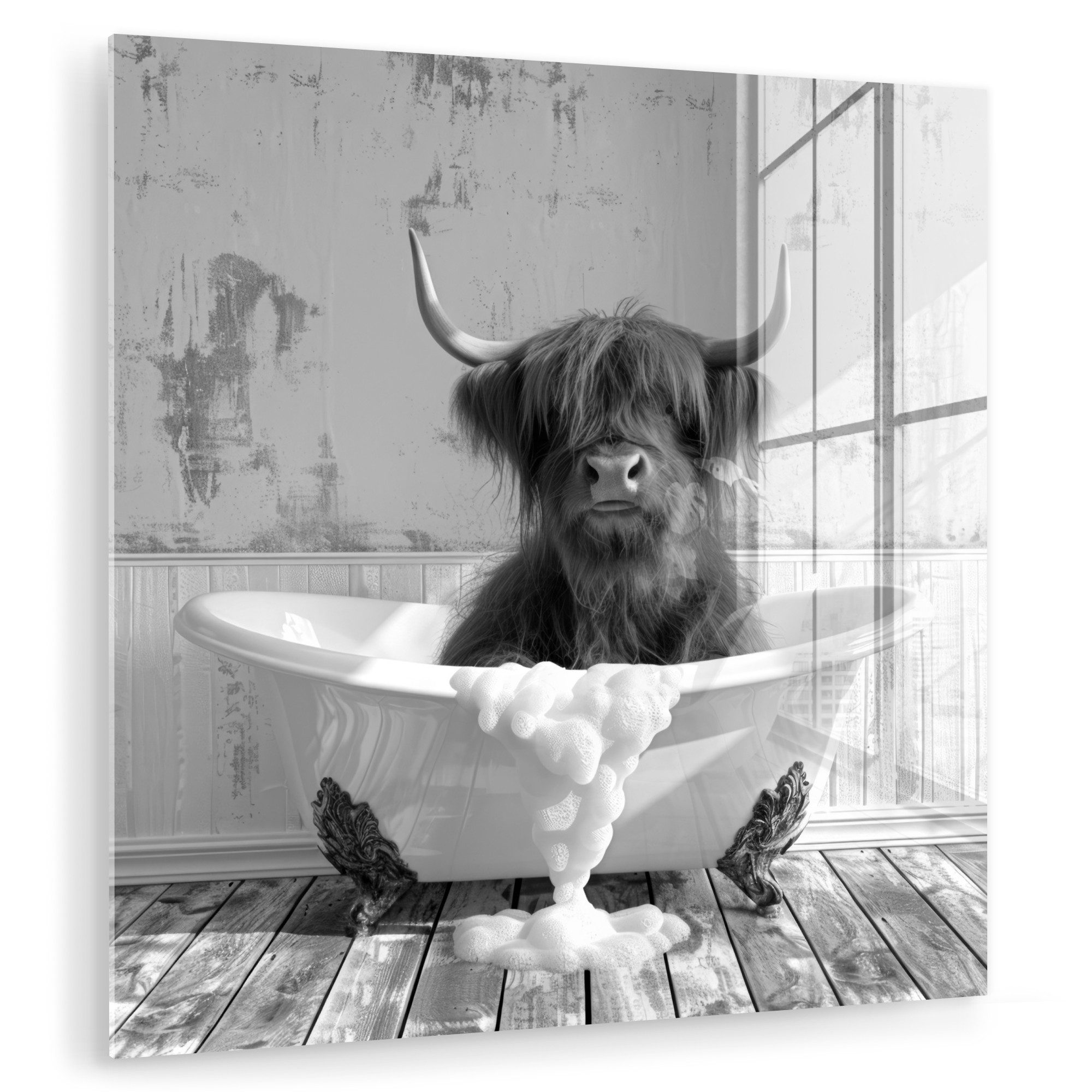 MuchoWow Acrylglasbild Scottish Highlander - Tier günstig online kaufen
