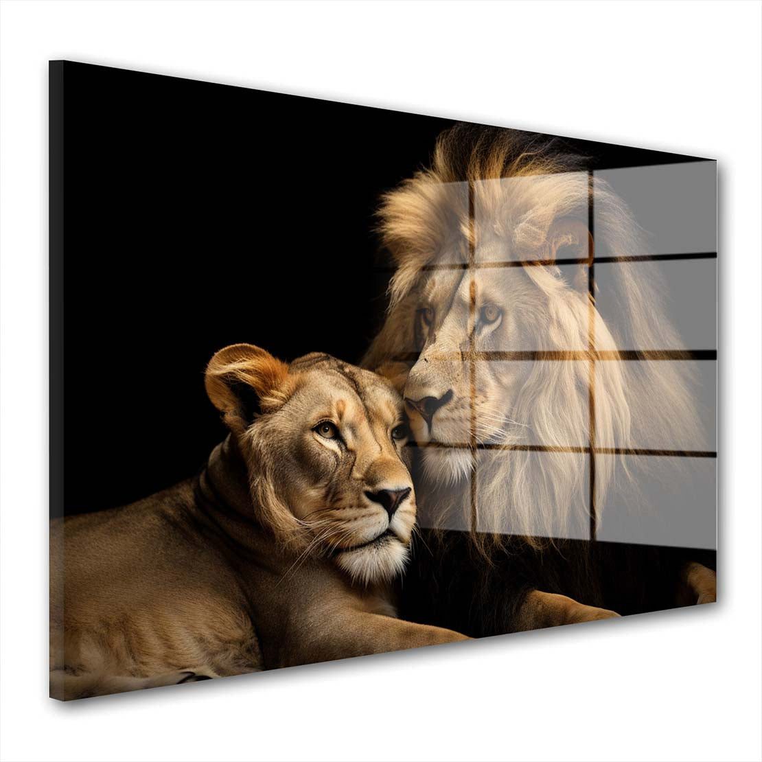 Artedinoi Acrylglasbild Beautiful Lions Acrylglas Wandbild Bild Wanddeko Wohnzimmer XL