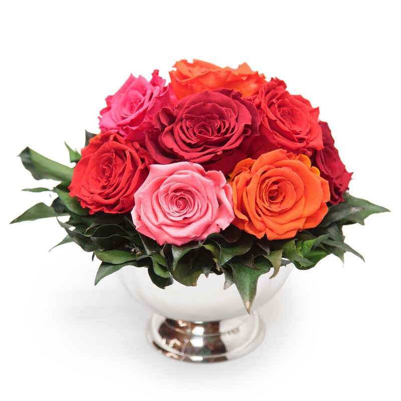 Kunstblume 11 Infinity Rosen in Blumenschale Blumenstrauß Rosenbox Rose, ROSEMARIE SCHULZ Heidelberg, Höhe 18 cm, Echte Blumen 3 Jahre haltbar I Geschenk für Frauen