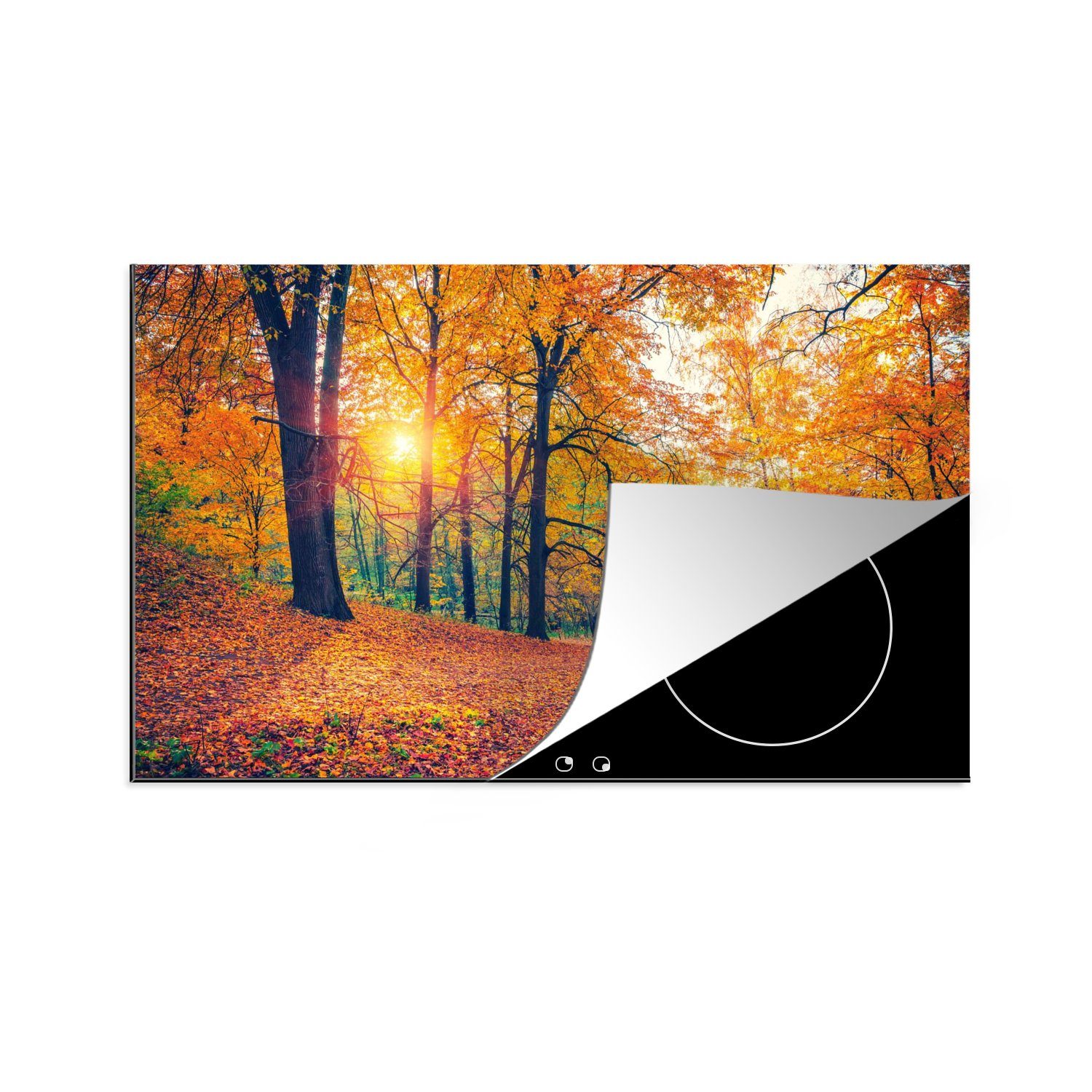 Induktionskochfeld Herdblende-/Abdeckplatte die - - MuchoWow Schutz Herbst (1 Herbstliche tlg), Bäume cm, Ceranfeldabdeckung küche, Wald für Blätter, Vinyl, - 80x52