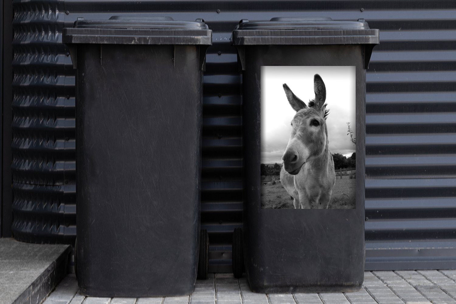 MuchoWow Wandsticker Esel Nahaufnahme - weiß Sticker, Abfalbehälter Container, und Mülltonne, Mülleimer-aufkleber, schwarz St), (1