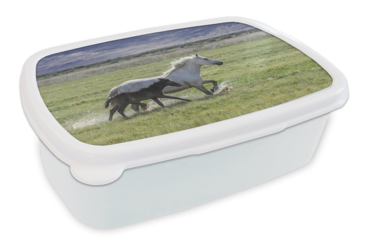 MuchoWow Lunchbox Pferde - Fohlen - Braun, Kunststoff, (2-tlg), Brotbox für Kinder und Erwachsene, Brotdose, für Jungs und Mädchen weiß