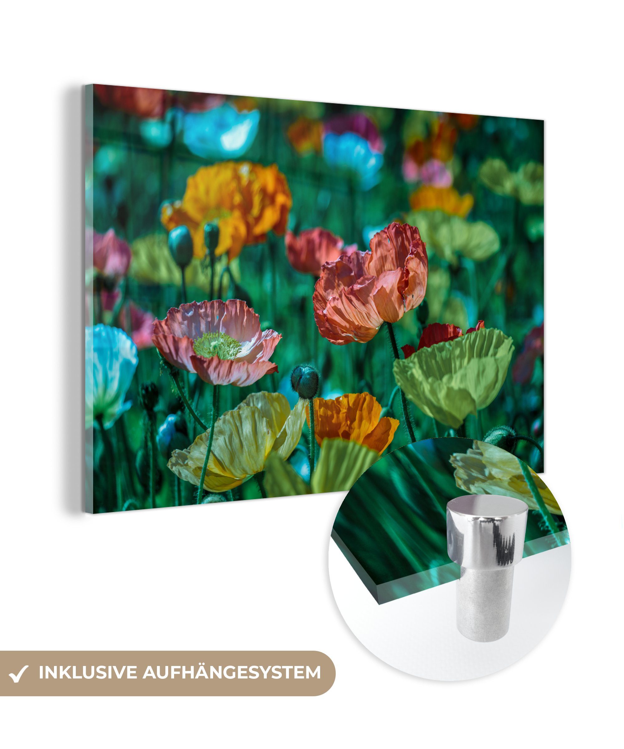 MuchoWow Acrylglasbild Blumen - Natur Schlafzimmer (1 & Acrylglasbilder - Wohnzimmer Wildtiere, St)