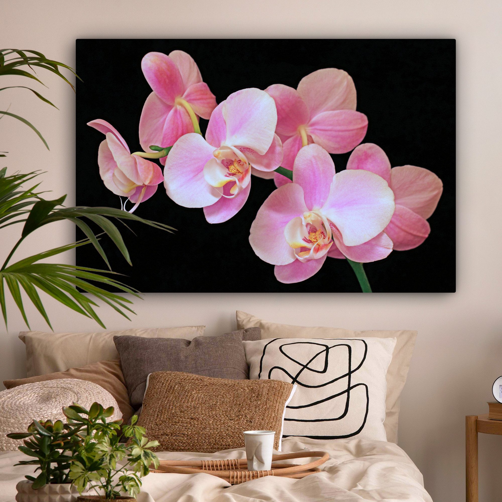 OneMillionCanvasses® Leinwandbild Eine Nahaufnahme von rosa günstig online kaufen
