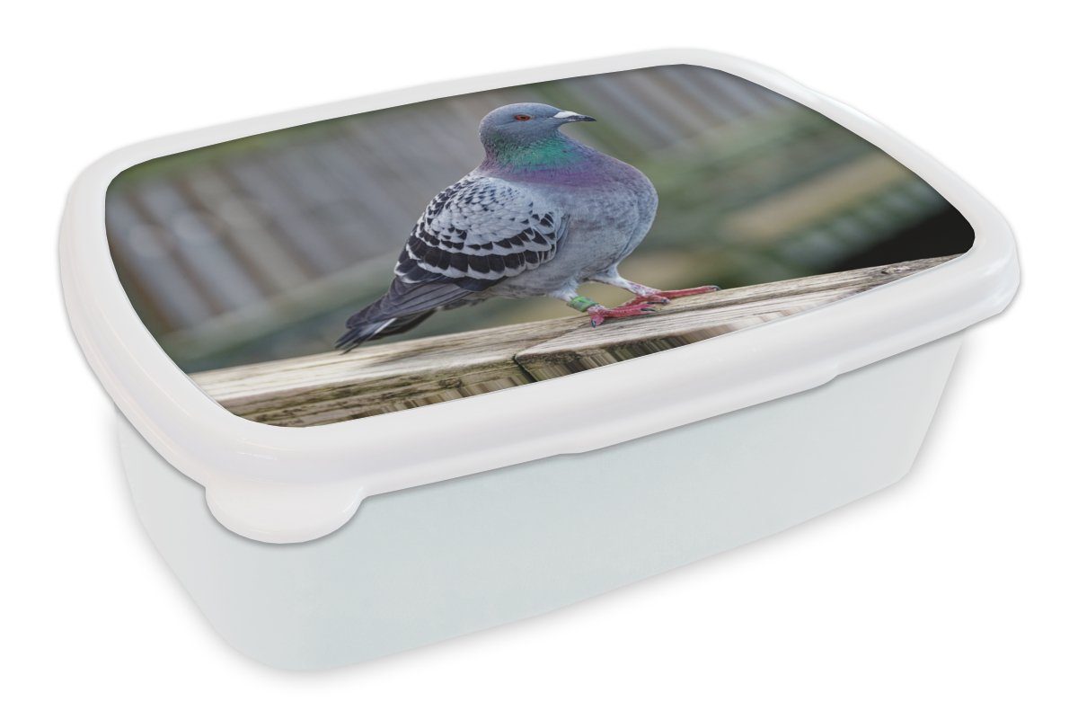 MuchoWow Lunchbox Taube - Vogel - Lila - Federn, Kunststoff, (2-tlg), Brotbox für Kinder und Erwachsene, Brotdose, für Jungs und Mädchen weiß