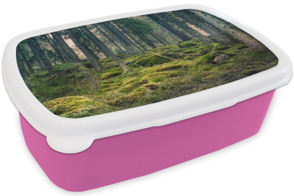 Baum Kinder, Moos, MuchoWow (2-tlg), - für Lunchbox Mädchen, rosa Wald Kunststoff Kunststoff, Erwachsene, - Snackbox, Brotbox Brotdose
