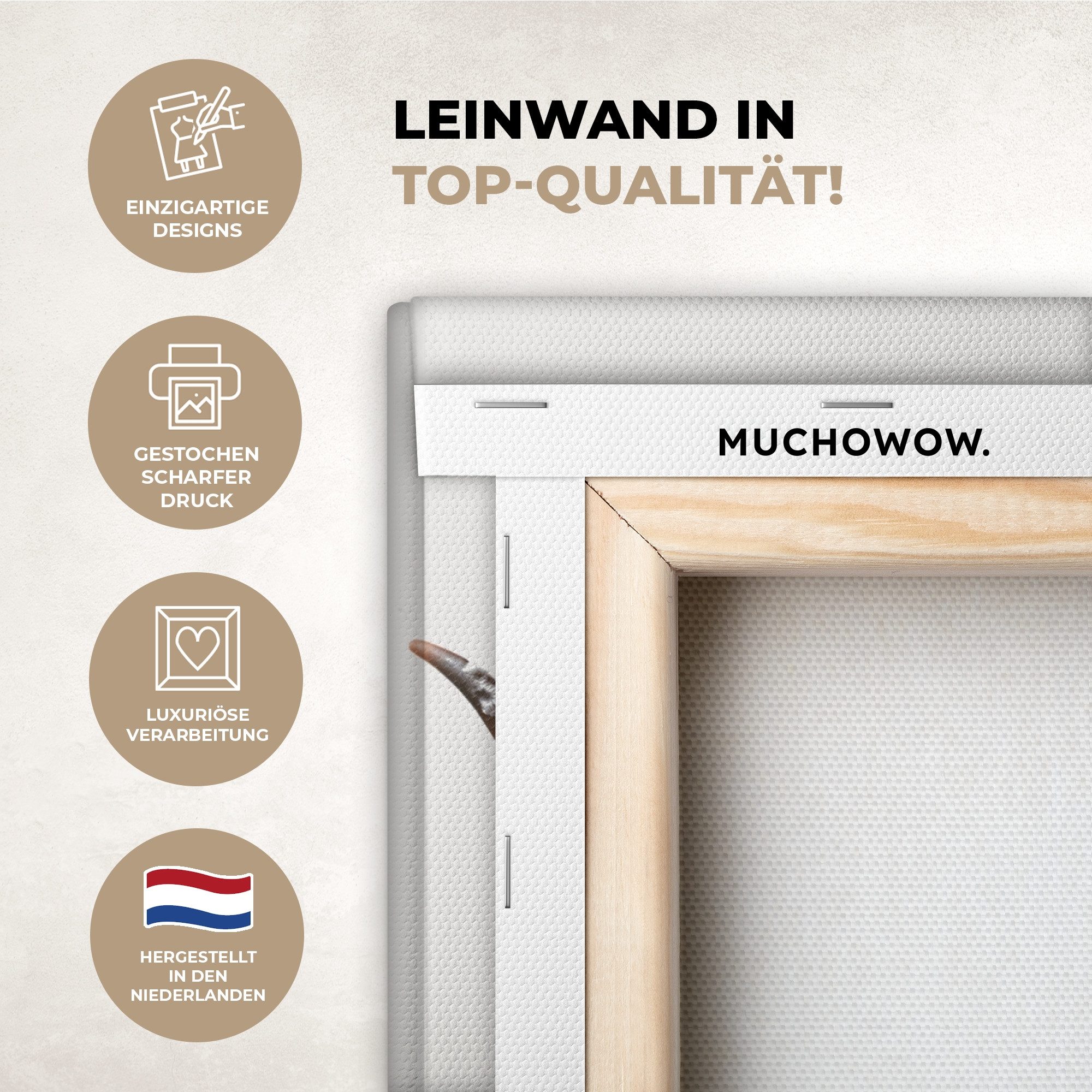 OneMillionCanvasses® Leinwandbild Highlander - Bad - Kuh - Tiere - Schaum, günstig online kaufen