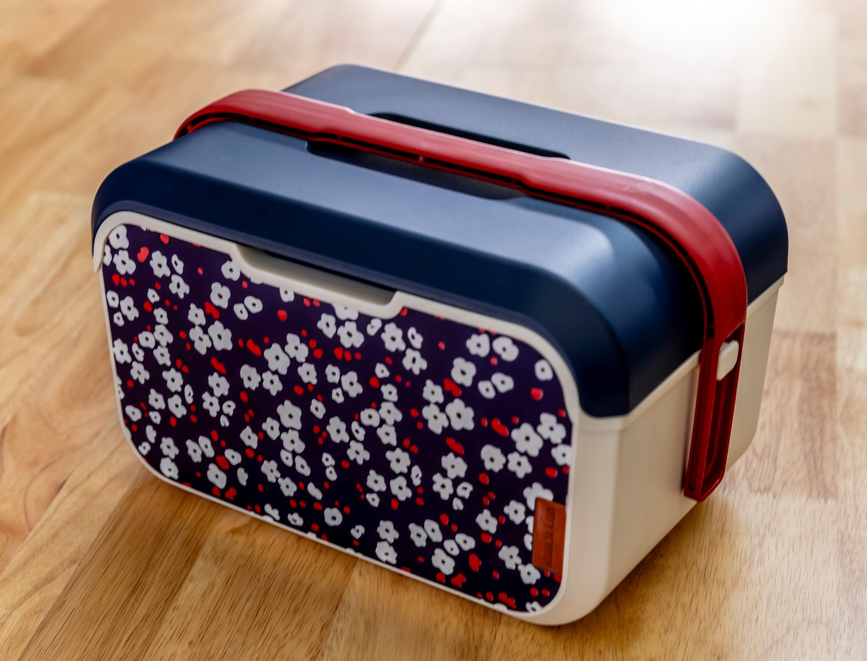 ONDIS24 Lunchbox Kühlbox Brotbüchse Picknickbox 5 Liter, Kunststoff