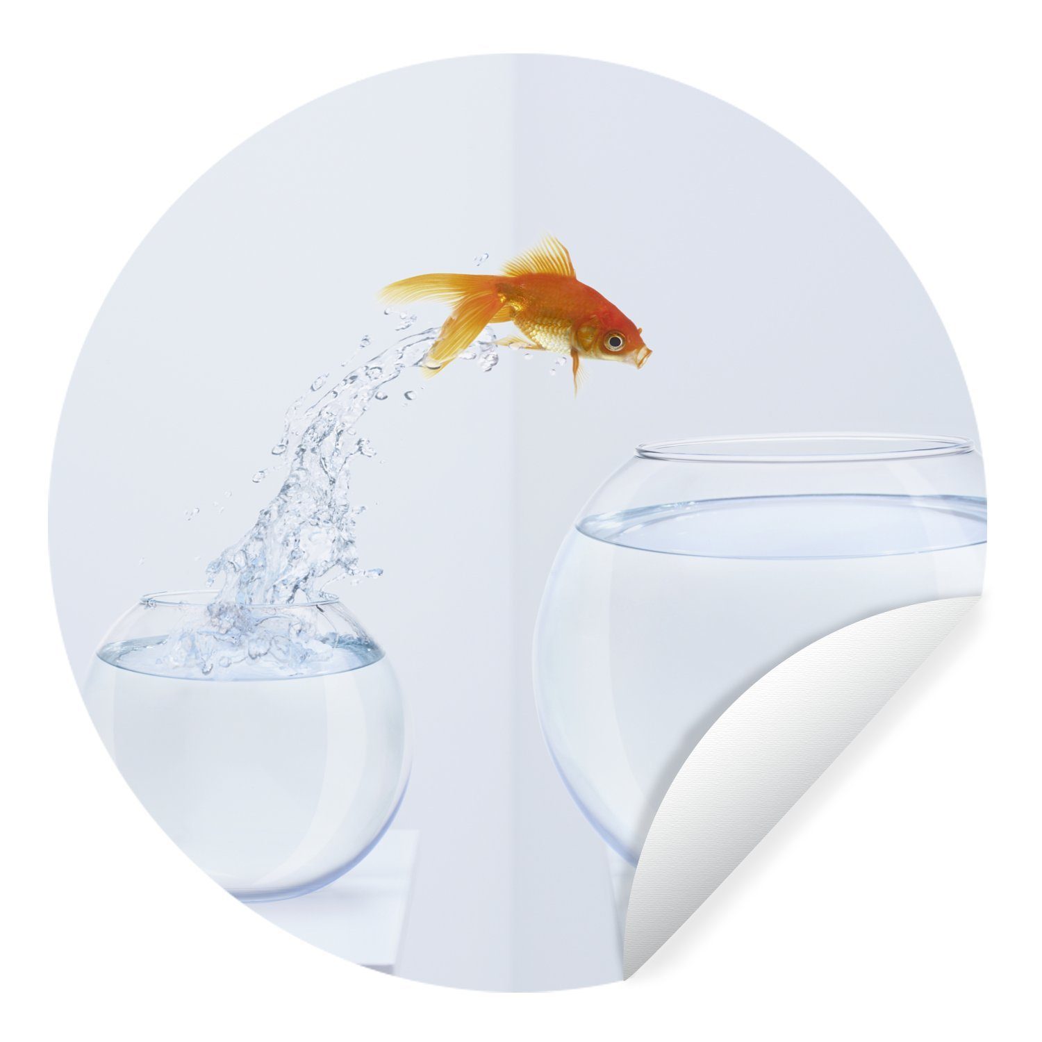 MuchoWow Wandsticker Goldfisch - Weiß - Fischglas (1 St), Tapetenkreis für Kinderzimmer, Tapetenaufkleber, Rund, Wohnzimmer
