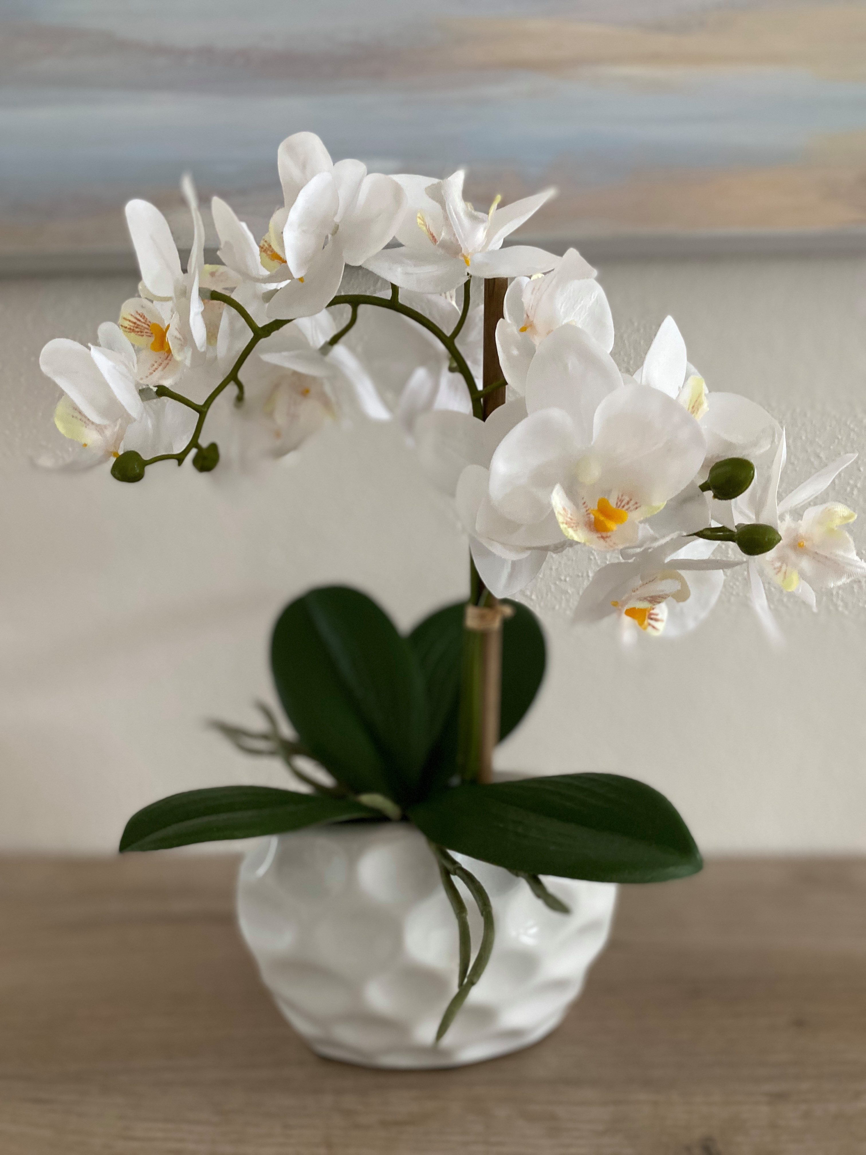 Kunstorchidee Kunstpflanze Orchidee, weiss, ca. 33 günstig online kaufen
