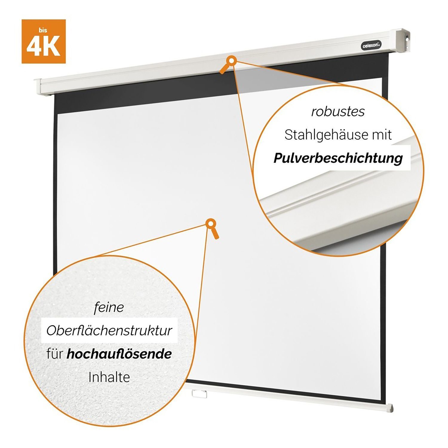 Celexon Professional Rolloleinwand (black_backside)