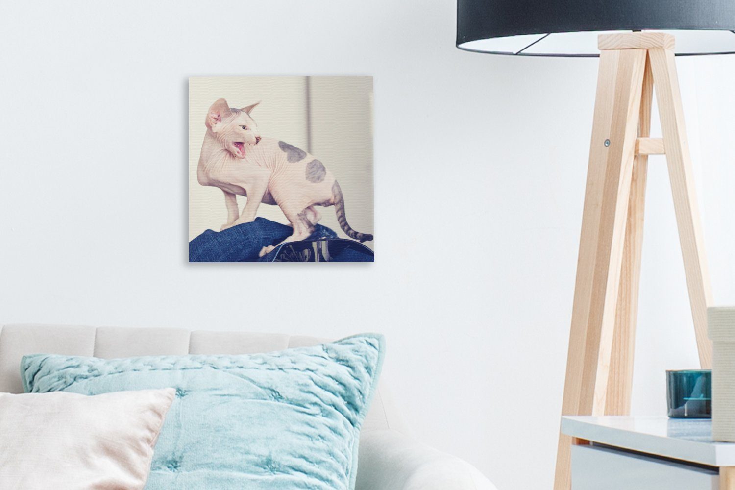 Sphynx-Katze, OneMillionCanvasses® Leinwand für (1 Leinwandbild Wohnzimmer St), Gefleckte Schlafzimmer Bilder