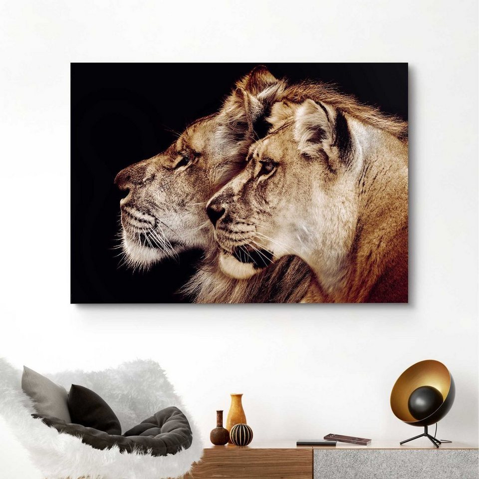 Reinders! Wandbild Wandbild Löwe und Löwin Raubtier - Löwenkopf -  Seitenporträt, Löwen (1 St), Das Deco Panel wird gut und sicher verpackt  und verschickt