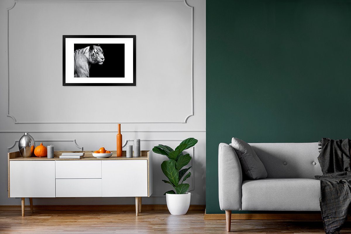 Gerahmtes Studioaufnahme mit Bilderrahmen auf schwarzem (1 weißen Poster, Kunstdruck, Schwarzem St), Hintergrund, Tigers eines MuchoWow Rahmen, Poster