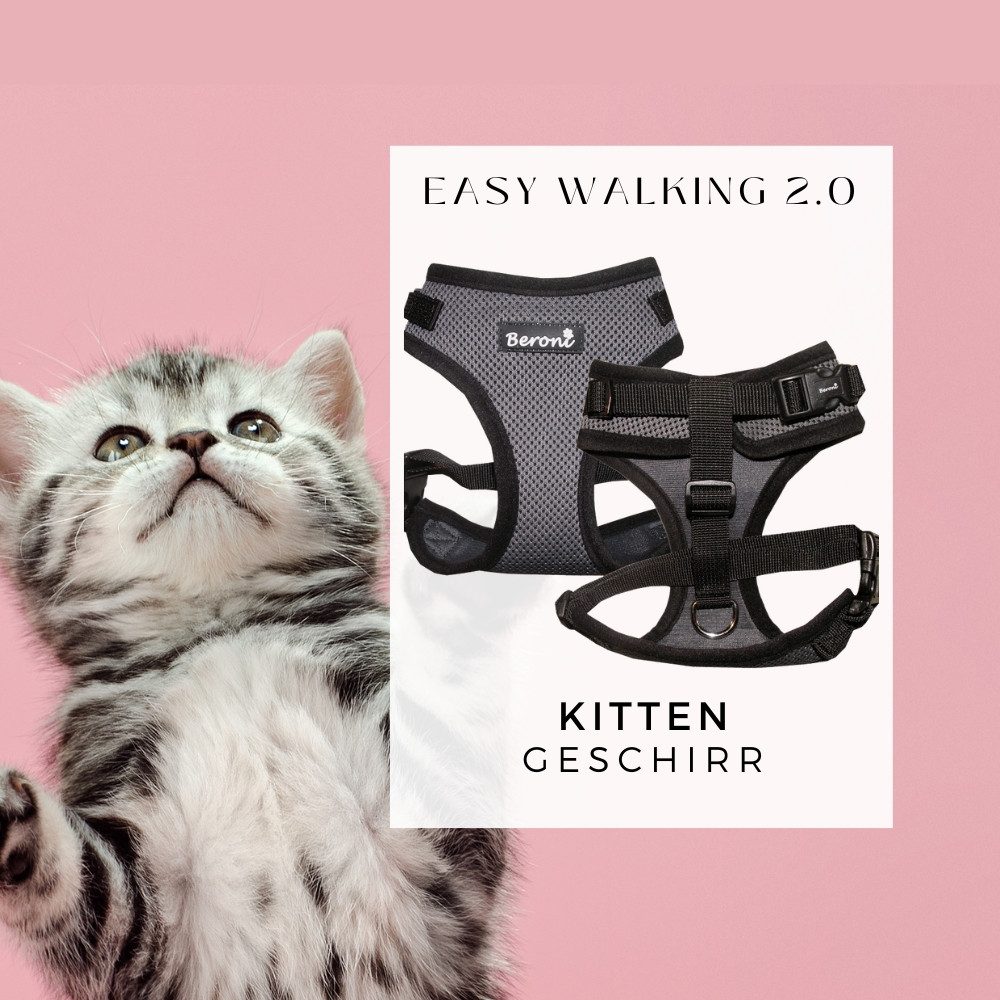 Beroni Geschirr Katzengeschirr Kitten Babykatzen grau verstellbar, Leine se günstig online kaufen