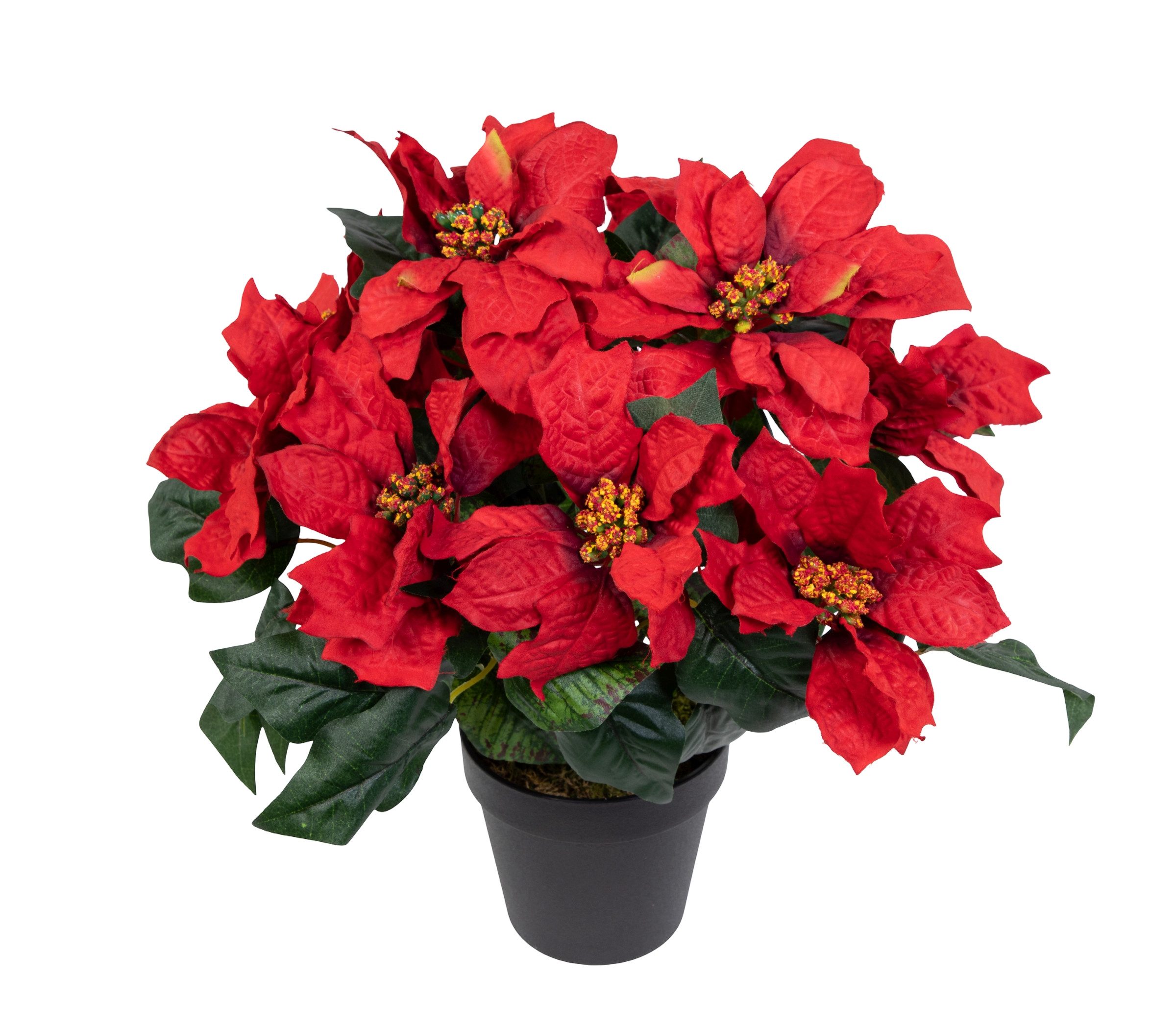 Kunstblume Großer Weihnachtsstern im Topf 38cm PF Kunstpflanzen künstliche Blumen Poinsettie, Seidenblumen Roß, Höhe 38 cm, Farbe: Rot
