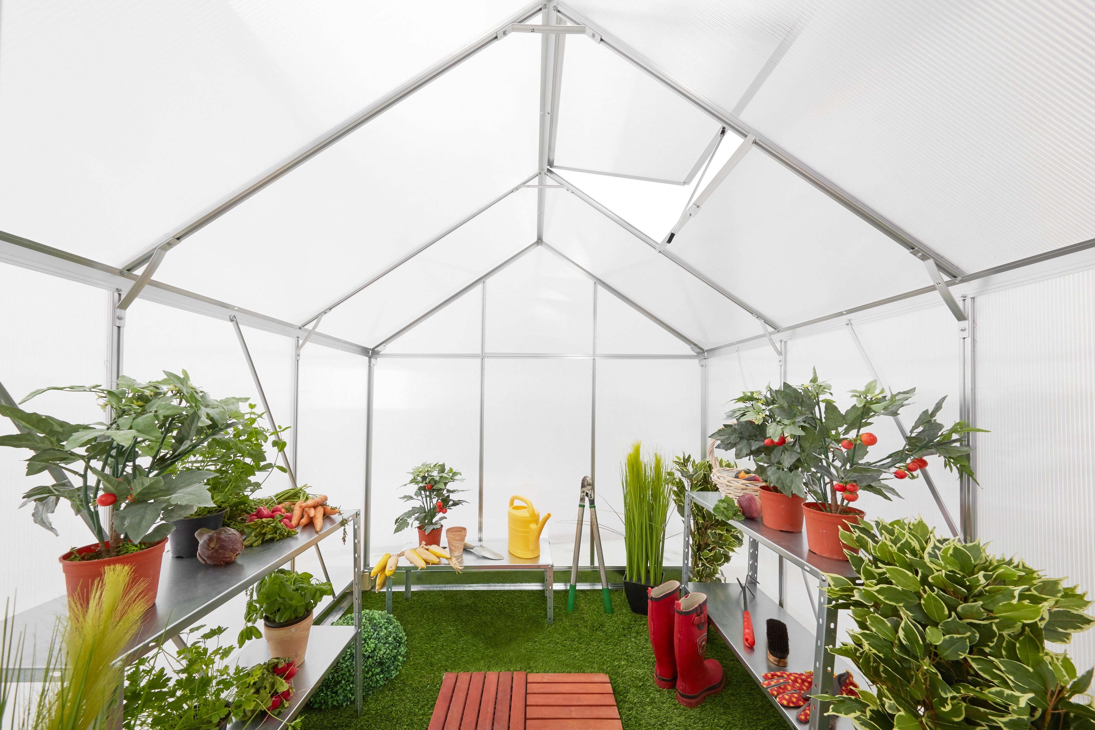 KONIFERA Gewächshaus Florenz, BxTxH: 190 x 253 x 195 cm, 4 mm Wandstärke