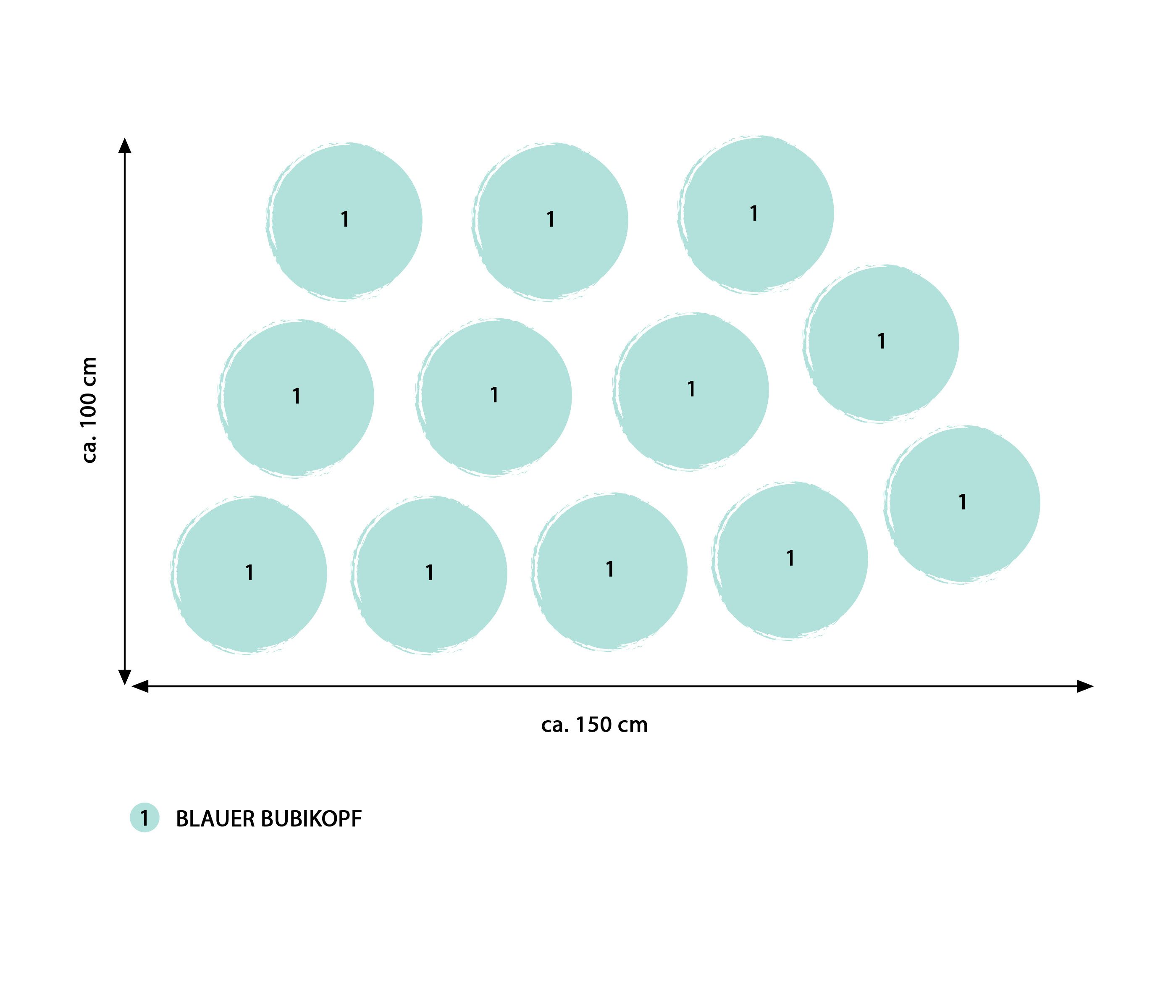 Dehner Staude Bio Stauden-Set Blaues Meer, 12x Bubikopf je 2-5 cm, Ø Topf je 9 cm, mehrjährige, insektenfreundliche Stauden für Sonne bis Halbschatten