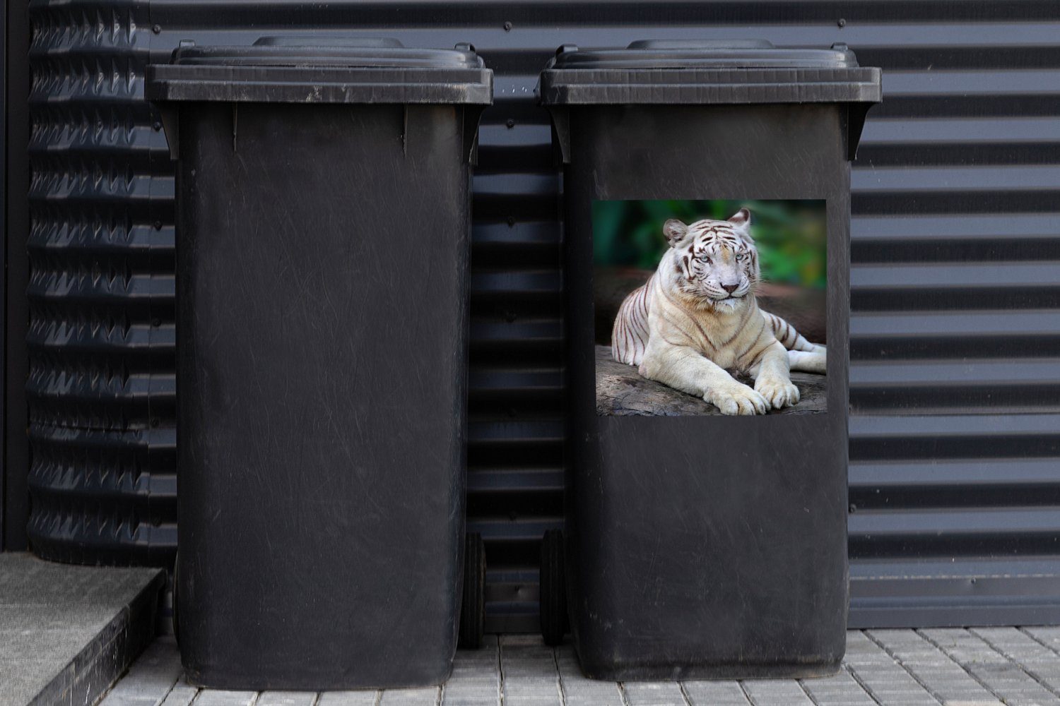 - Abfalbehälter St), Tiger (1 - Container, Sticker, Mülltonne, Mülleimer-aufkleber, MuchoWow Weißer Baumstamm Wandsticker Wald