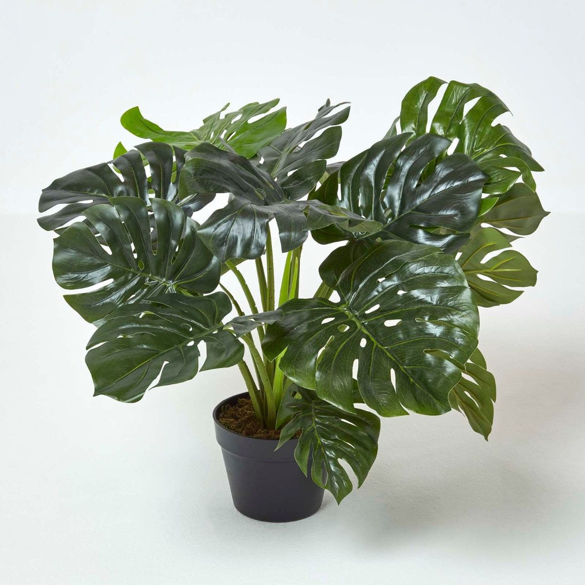 Kunstbaum Monstera Kunstpflanze im Topf - 60 cm, Homescapes, Höhe 60 cm günstig online kaufen