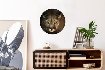 MuchoWow Gemälde Ein Puma in Jagdstellung mit gelben Augen, (1 St), Kreis Wanddekoration Forex, Rundes Wandbild, Wohnzimmer, 30x30 cm