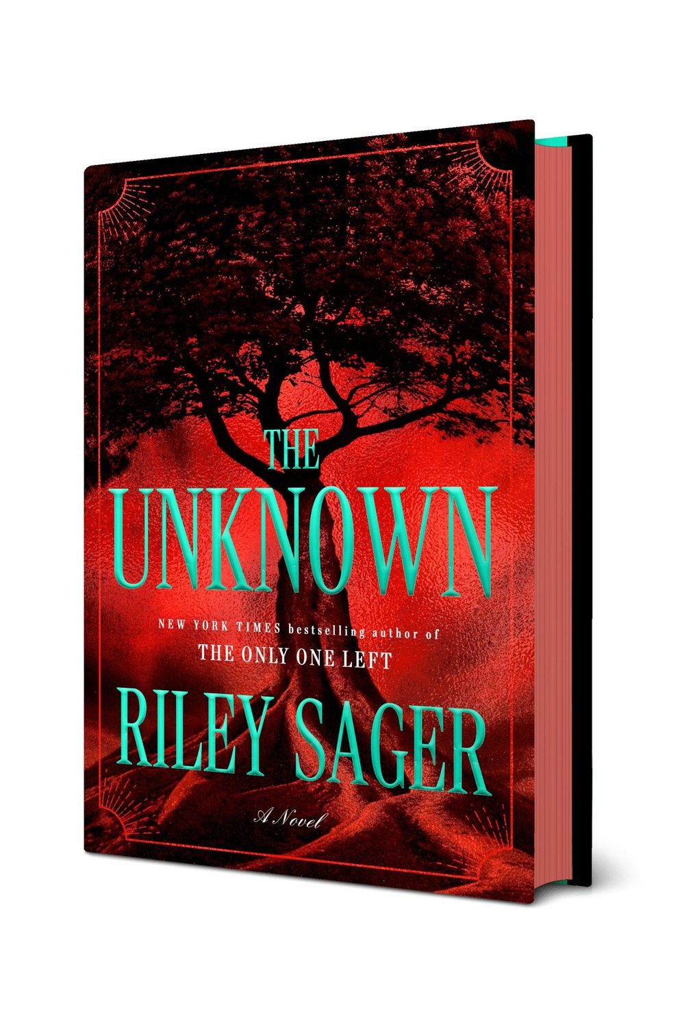 The Unknown / Riley Sager