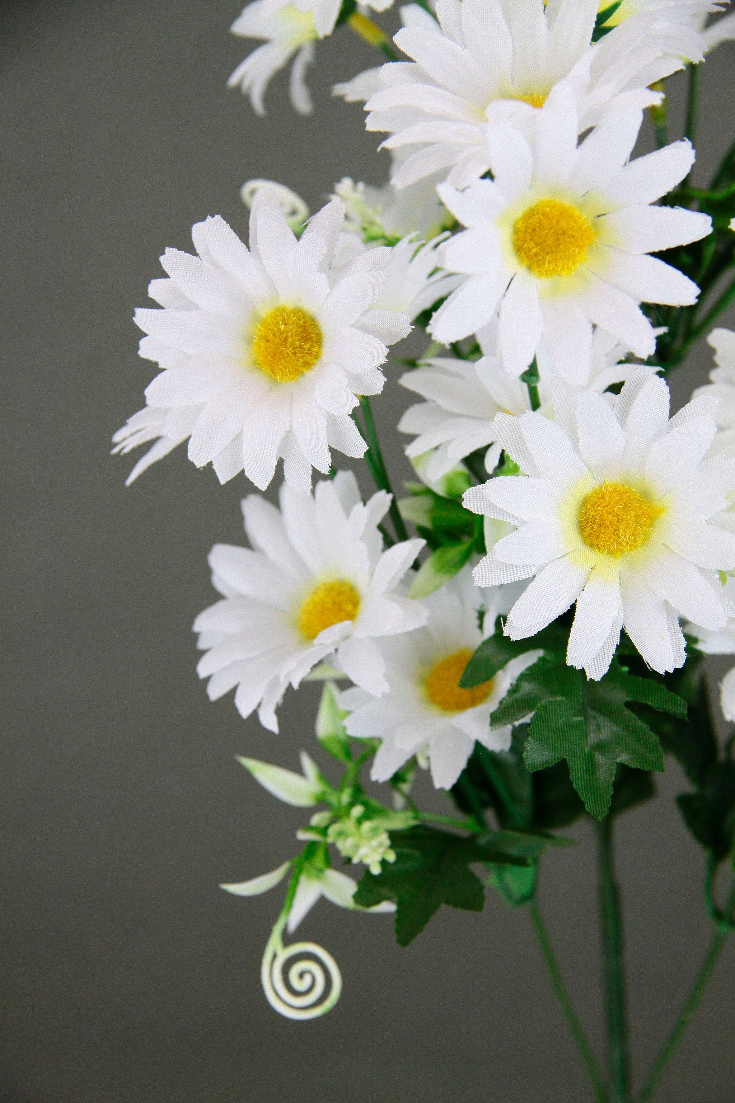 Kunstblume Margeritenzweig, I.GE.A., Höhe 63 cm, 5er Set Narzisse künstliche Blume Ostern Seidenblume Frühjahrsdeko