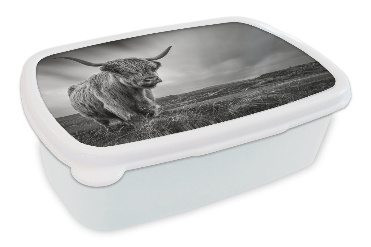 MuchoWow Lunchbox Kühe - Schottische Hochlandkühe - Natur - Tiere - Schwarz und weiß, Kunststoff, (2-tlg), Brotbox für Kinder und Erwachsene, Brotdose, für Jungs und Mädchen | Lunchboxen